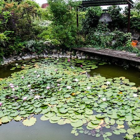 BadacsonyörsPigal Panzio住宿加早餐旅馆 外观 照片