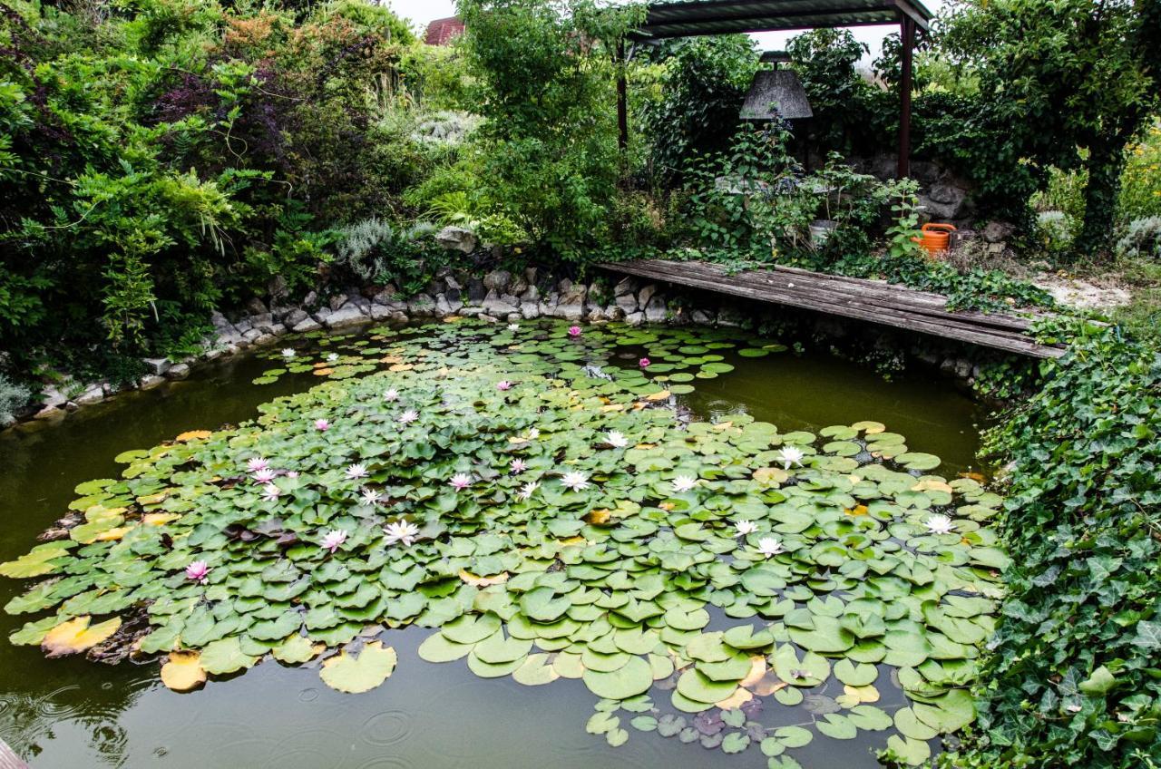 BadacsonyörsPigal Panzio住宿加早餐旅馆 外观 照片